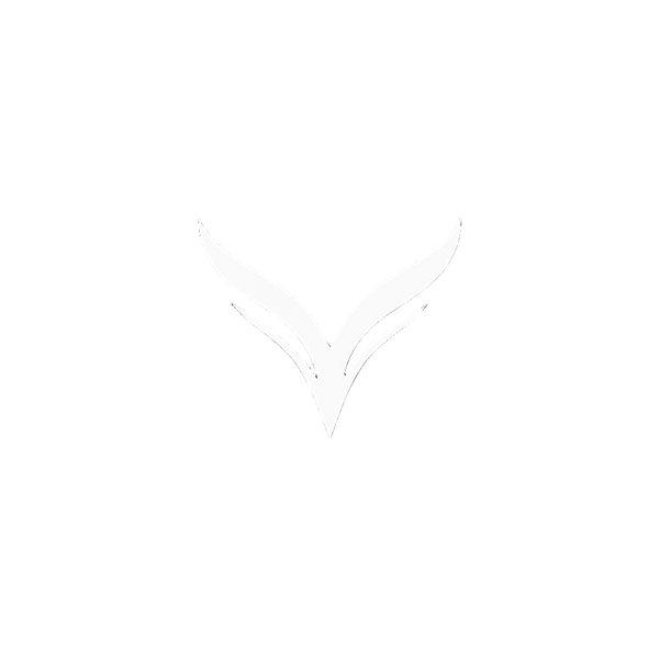 VYRE.CO